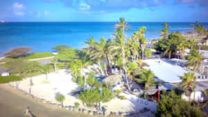 Hình ảnh bãi biển Aruba — Sóng biển Hình nền