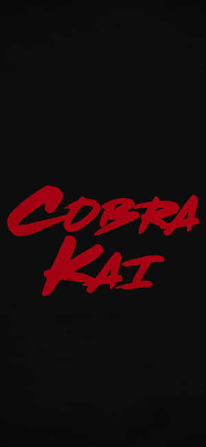 Hình nền Cobra Kai iPhone Xr — RedMagic Hình nền