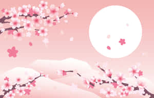 Hình nền hoa anh đào — Hoa anh đào Hình nền