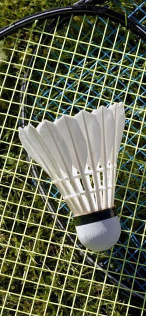 Iphone Xs Badminton Background — Mùa hè Hình nền