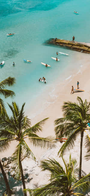 1284x2778 — OnePlus Ace Hình nền