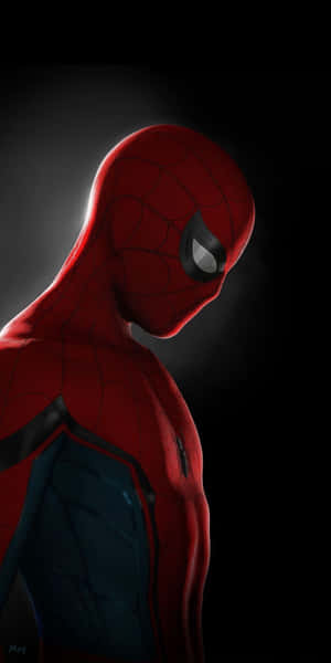 Hình nền Spiderman HD cho iPhone — iPhone Hình nền