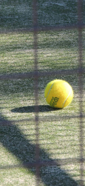 Hình nền Tennis Iphone Xs — Redmi Hình nền