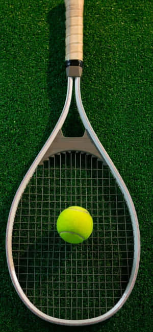 Hình nền Tennis Iphone Xs — Xiaomi Hình nền