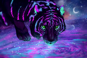 Hổ Thẩm Mỹ Tím Neon
