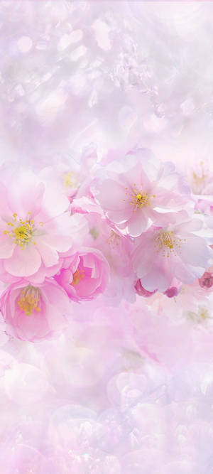 Beautiful Spring — POCO M7 Hình nền