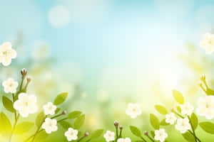 Hình nền máy tính thẩm mỹ
