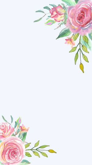 Hoa Viền Góc Iphone