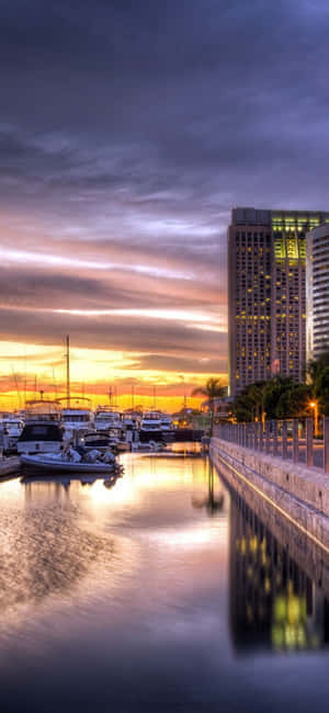 San Diego Iphone [hình nền] — iPhone 16 Plus Hình nền