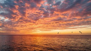 Một cảnh hoàng hôn tuyệt đẹp trên biển với màu sắc rực rỡ và phản chiếu.