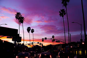 Hình nền Hoàng hôn Đại lộ Sunset bầu trời tím