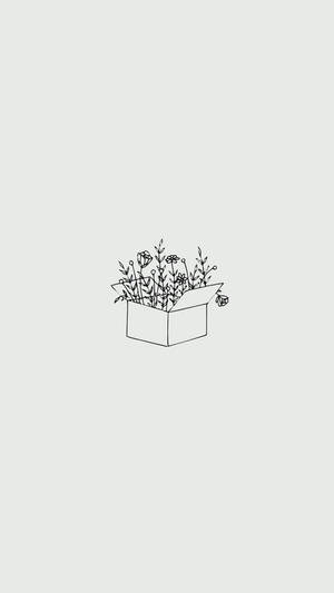 Bản vẽ nghệ thuật bút chì hộp hoa thẩm mỹ tối giản — Thẩm mỹ tối giản GIF Hình nền
