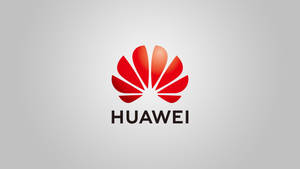 Hình nền Huawei Trung Quốc nghệ thuật thương hiệu — Huawei Hình nền