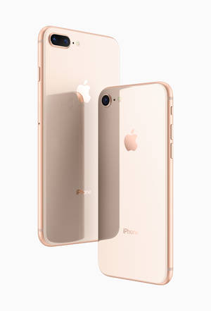 iPhone 8 Hồng Vàng