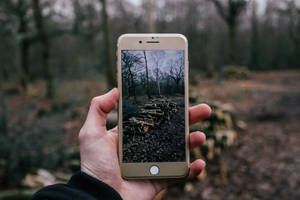 người chụp ảnh đống củi bằng iPhone — iPhone 8 Hình nền