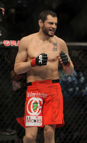 Jon Fitch đứng trong lồng bát giác UFC 141 — Huawei MatePad Mini Hình nền