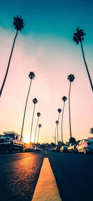 Nền iPhone X California — Xiaomi 15 Hình nền