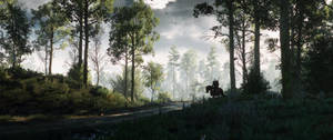 Hình nền trò chơi điện tử The Witcher 3 với khung cảnh rừng siêu rộng.