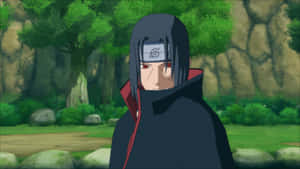 Hình nền Naruto Shippuden — Naruto shippuden GIF Hình nền