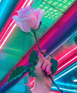Hình ảnh phong cách Neon Aesthetic — Neon xanh thẩm mỹ Hình nền