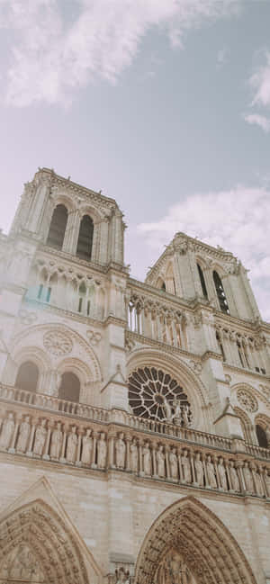 Nhà Thờ Đức Bà Paris — Vivo V60 Hình nền
