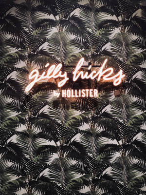 Hình nền lá cọ Hollister — 3:4 Hình nền