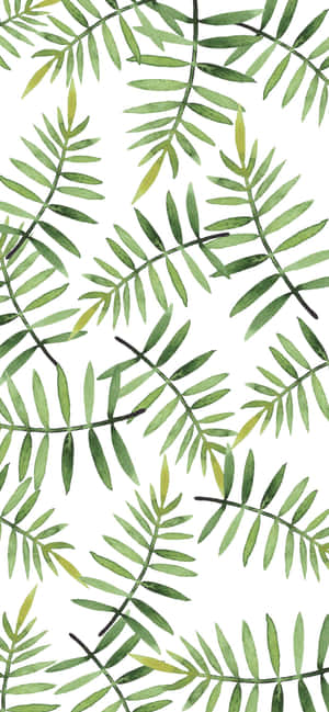 Cute Leaves — iPhone 11 Pro Hình nền