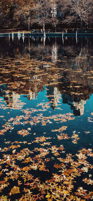 Calm Mobile — iPhone X Hình nền