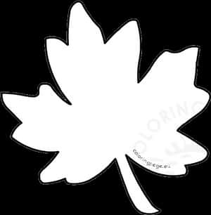 Trang Tô Màu Lá Mùa Thu Viền Nét Hình Ảnh Lá Phong Trong Suốt - Lá Mùa Thu Viền Nét, Tải Xuống PNG HD