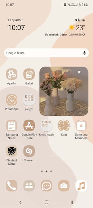 Hình ảnh Widget Thẩm mỹ — Realme Neo7x Hình nền