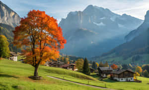 Hình ảnh ngôi làng, Cây, Núi, Hình ảnh thẩm mỹ núi, Thiên nhiên, Thiên nhiên 4k, Hình ảnh vẻ đẹp tự nhiên, Tự nhiên, Hình ảnh phong cảnh — 4K thiên nhiên GIF Hình nền