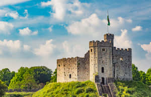 Lâu đài Cardiff giữa rừng cây xanh