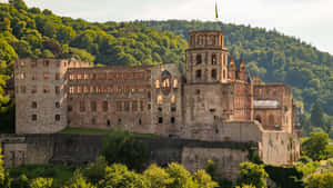 Lâu đài Heidelberg vào buổi sáng — Xanh aesthetic GIF Hình nền