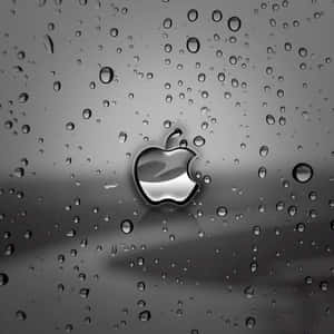 iPad Tối Dễ Thương