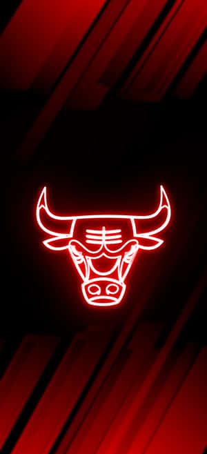 Chicago Bulls Phone — OnePlus 11 Hình nền