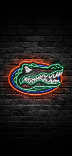 Hình nền Logo Florida Gators Trong Đèn Neon — iPhone 11 Pro Hình nền