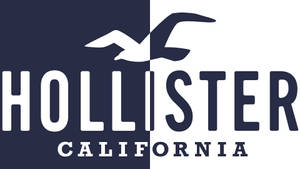 Hình nền Logo Hollister Hai Tông Màu — Chromebook Hình nền