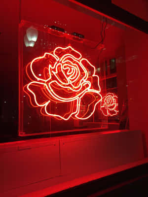 Phong cách Thẩm mỹ Đỏ Neon — Đỏ aesthetic GIF Hình nền