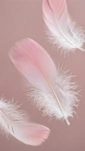 Những chiếc lông vũ ombre màu hồng nhạt và trắng nhẹ nhàng bay lơ lửng. — Hồng pastel nhẹ Hình nền