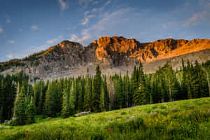 Mac background — MacBook Pro 14 Hình nền