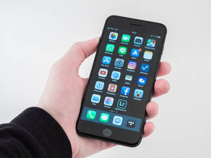 Màn Hình iPhone 8