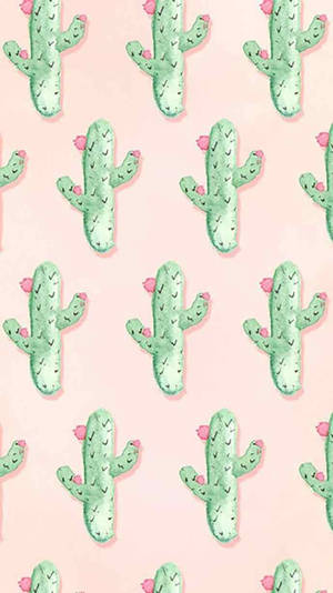 Màn hình khóa iPhone dễ thương với cây xương rồng xanh — Phong cách pastel hồng Hình nền