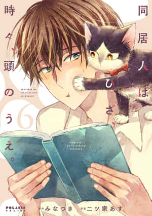 Mèo Bạn Cùng Phòng - Thư Giãn Nơi Hiên Nhà — Anime mèo Hình nền