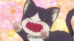 Hình ảnh mèo Anime — Anime mèo Hình nền