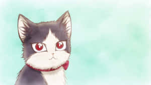 Mèo nhà quây quần cùng chàng trai trẻ trong phòng — Anime mèo Hình nền
