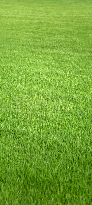 1080x2400 — Bãi biển hoàng hôn Hình nền