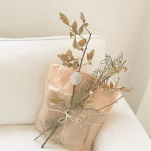 Hình ảnh Beige thẩm mỹ — Thẩm mỹ be Hình nền