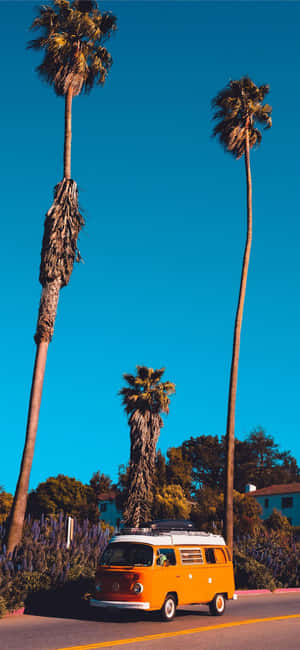 Nền iPhone X California — iPhone X Hình nền