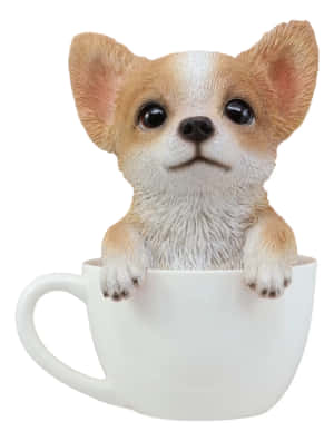 Hình Ảnh Chihuahua Tách Trà — iPad thế hệ thứ 9 Hình nền