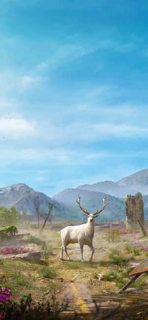 Hình nền Iphone Xs Max Far Cry 5 — Oppo F33 Hình nền